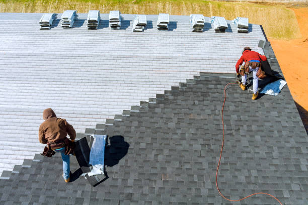 Roof Gutter Cleaning in Las Lomas, CA