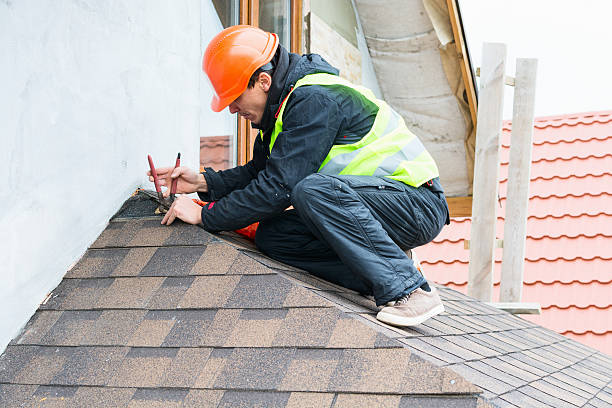 Best Sealant for Roof  in Las Lomas, CA